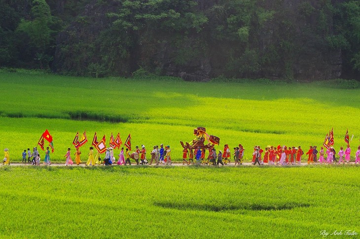 The procession ritual of Thai Vi Temple Festival - ảnh 3